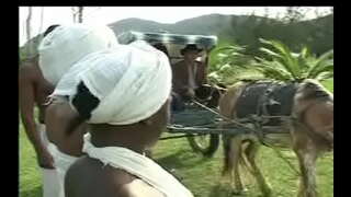 Necə Negras bəli сензала